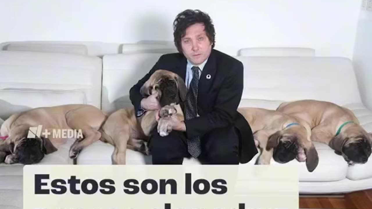 LOS PERROS CLONADOS DE MILEI