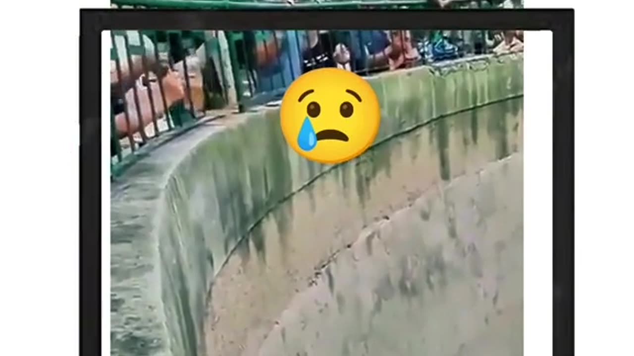 ðŸ˜ðŸ˜