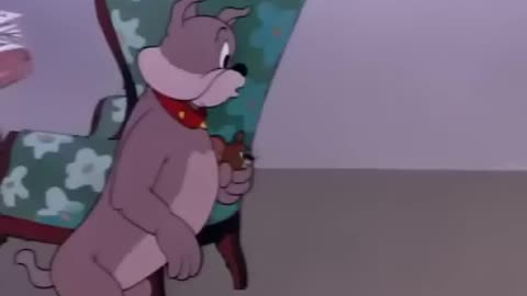 Tom and Jerry - Pet Peeve