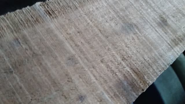 Stupid things in Home