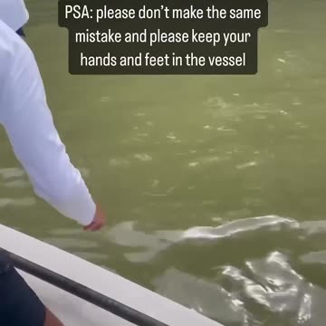 SHARK! Why stick your hand in the water. No way!