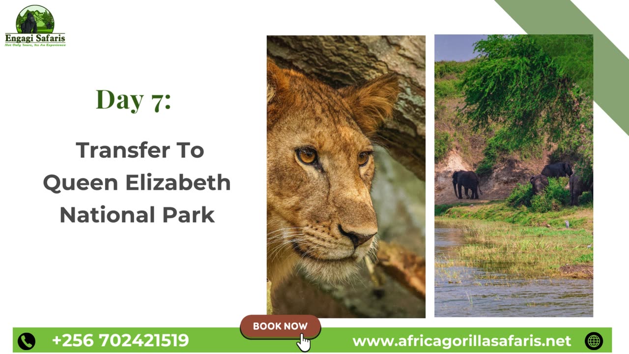 Enjoy 10 Days Chimpanzee, Gorillas, Golden Monkey, Uganda And Rwanda