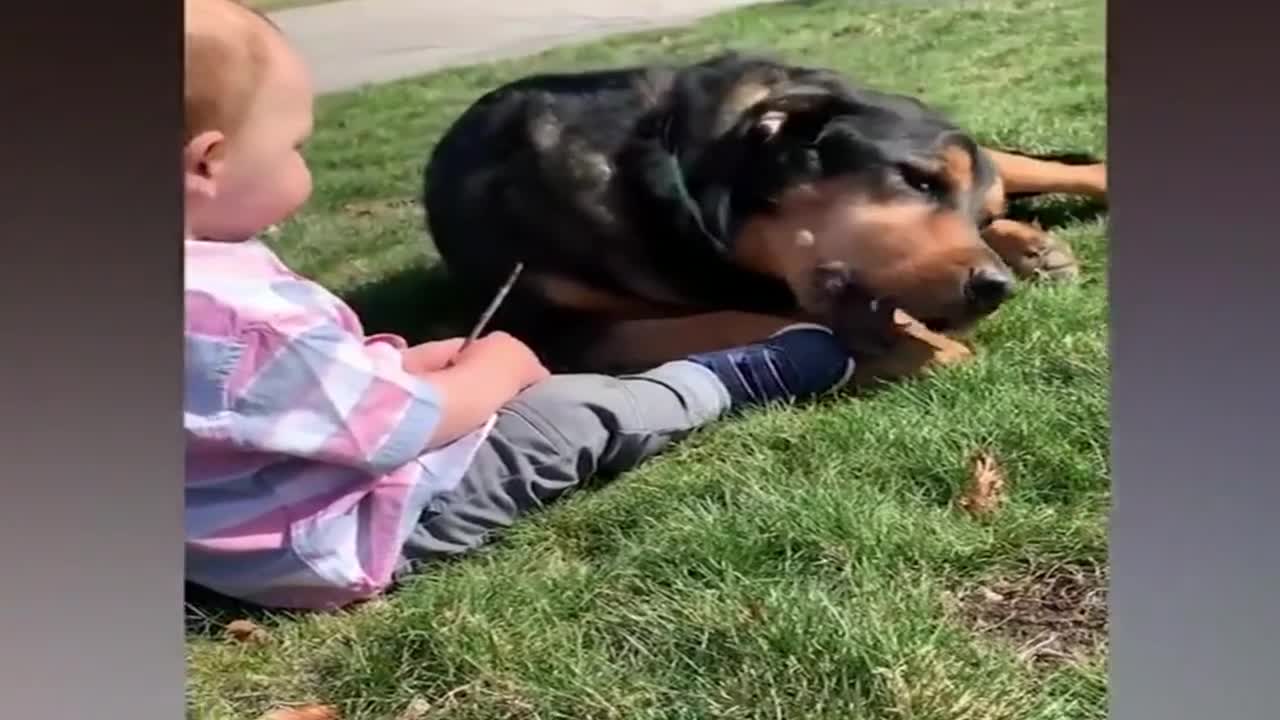 # Watch and laugh again # Cure the unhappy # Cute baby funny moments # (4)