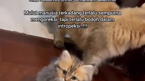 Cat motivasi