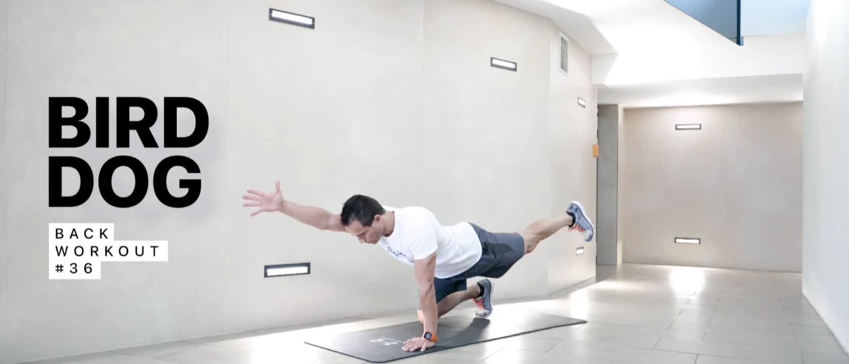 Bird Dog - Back Workout #36 | StepsApp Exercise & Training