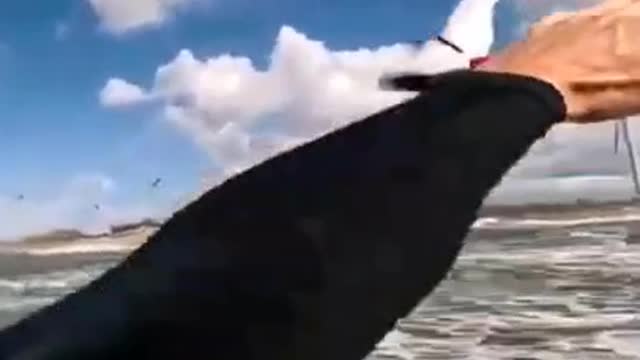 Kitesurfer goes crazy on Reedin kite with GoPro 11