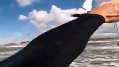 Kitesurfer goes crazy on Reedin kite with GoPro 11