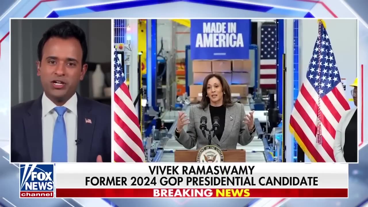 'An absolute dumpster fire': Kamala Harris torched for 'closing argument'