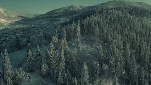 Snow Aerial Cinematic Video