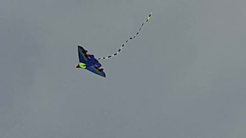 Airplane-shaped kite flying