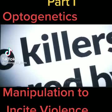 Optogenetics Research