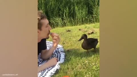 #Funny video animal #viral