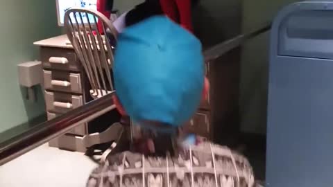 Unsuspecting Kids Surprised by Spidey