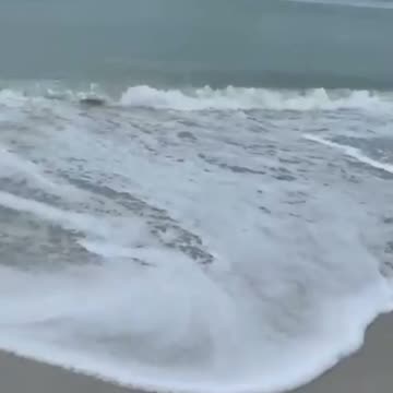 Send your prayers against Hurricane Milton