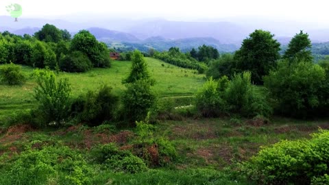 Beautiful mountain landscape in summer