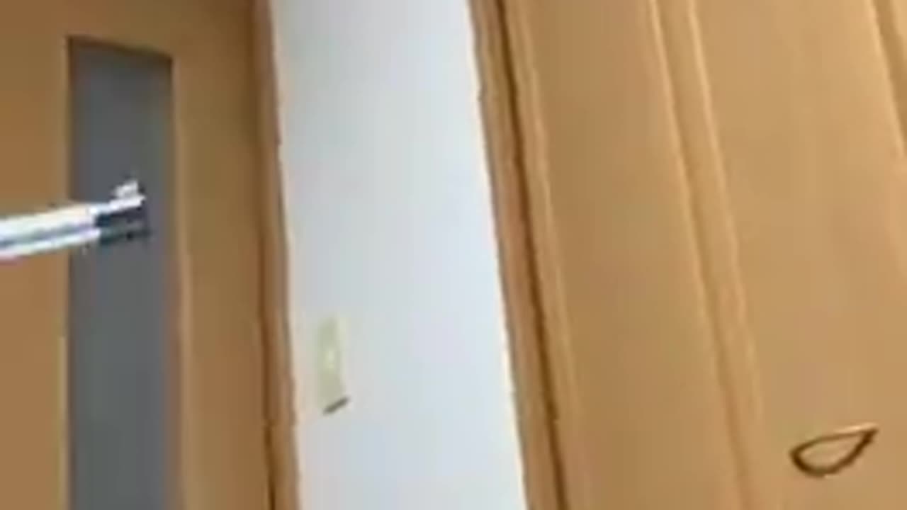 Vacuum Cleaner vs Large Spider