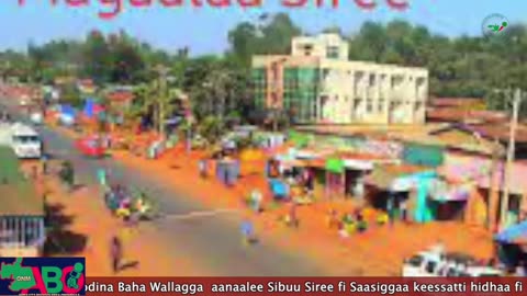 Oduu Ganama ONM-ABO Onkoloessa 19-2024 itti dhiyaadhaa!