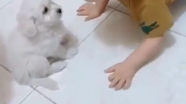 Cute baby fun with puppy