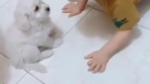 Cute baby fun with puppy