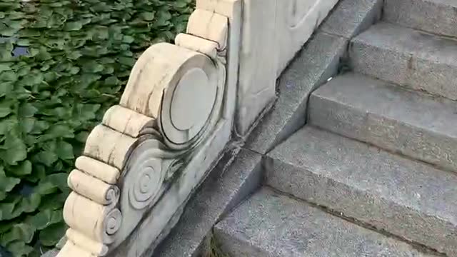 It would be more beautiful to raise some fish