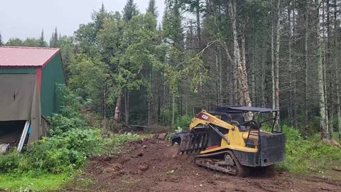 Getting Firewood From A Fire Buffer Clearing