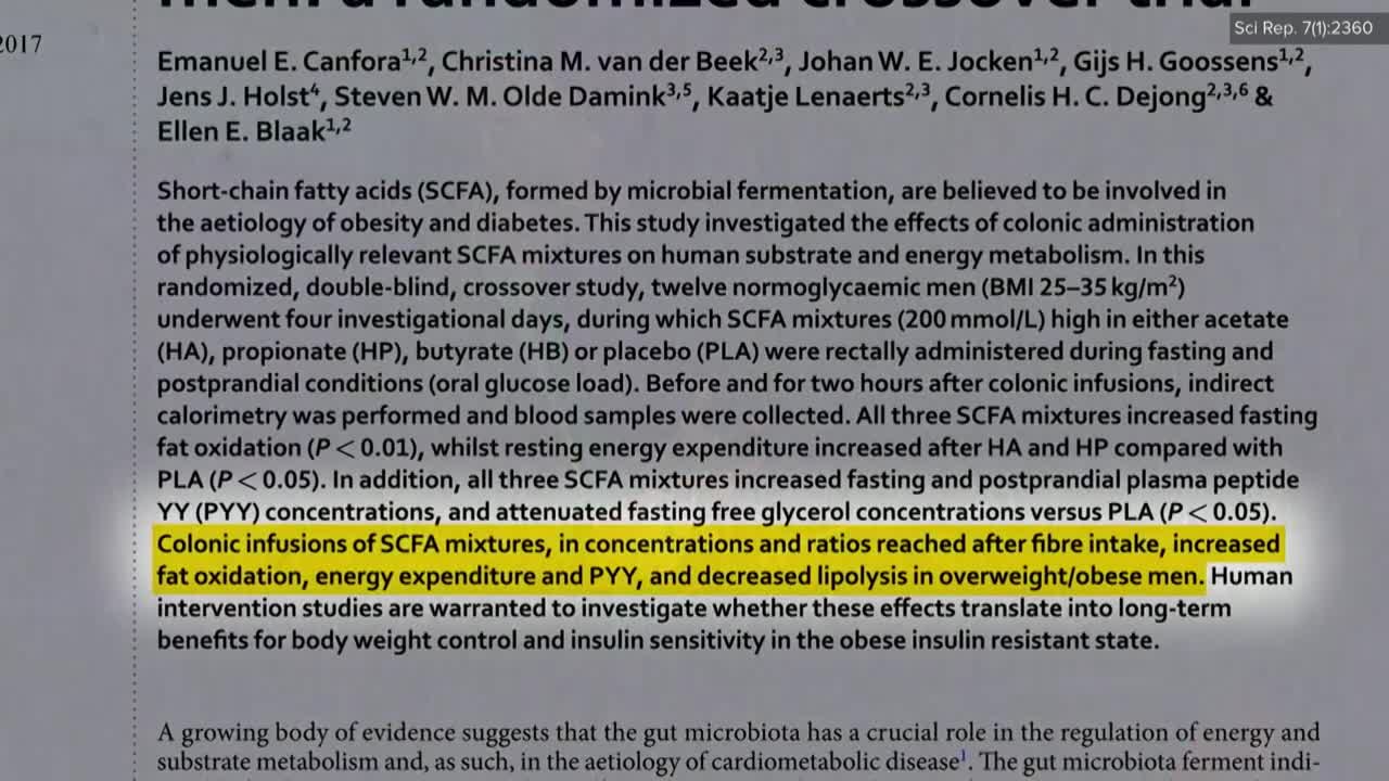 Evidence-Based Weight Loss: Live Presentation