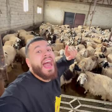 funny|prank|jokes|funny jokes|dad jokes|funny memes|funny video|fun|laughing|funny animal|knock