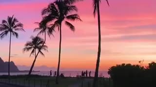 Hawaii. Good night!Гавайи. Доброй ночи!