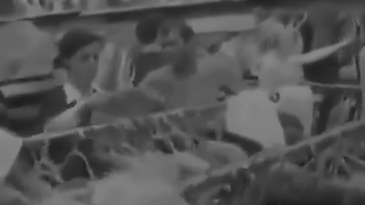 We have been lied to, suppressed and conned by rich globalist money hungry elites.