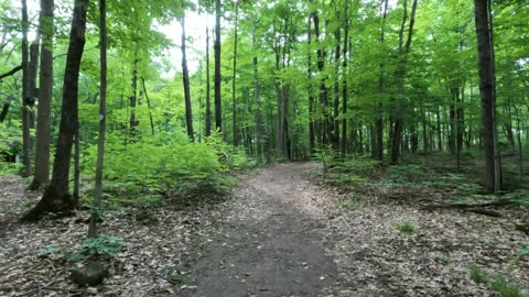 🦫 Exploring Beaver Trail In Ottawa 🍀🌴 Canada 🍁