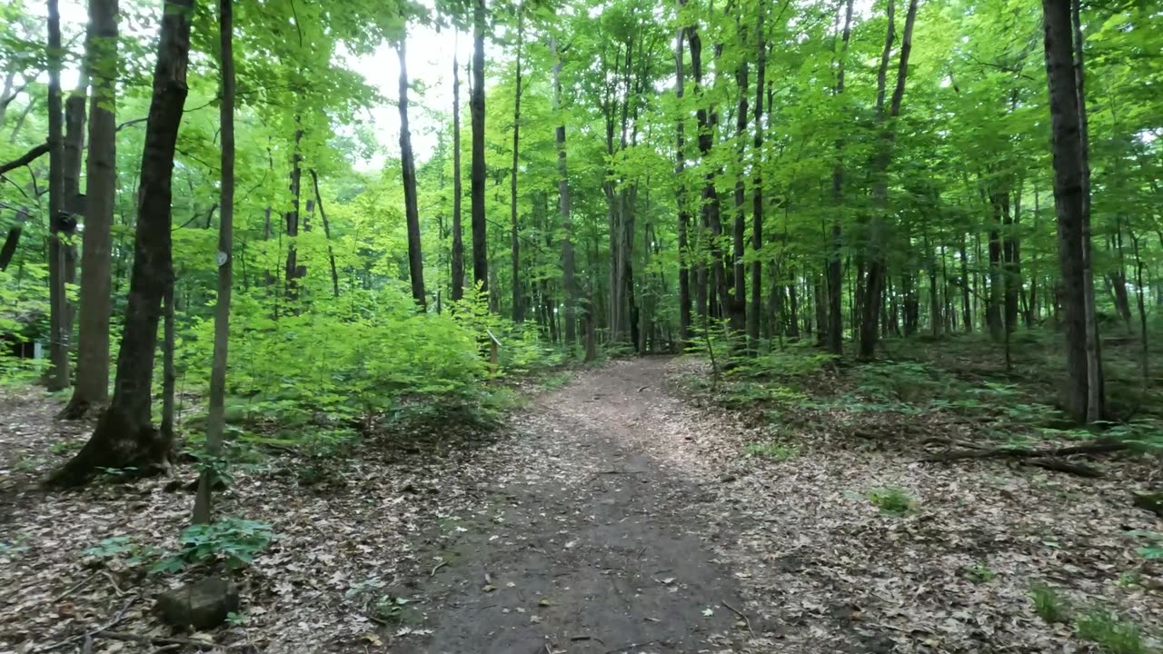 🦫 Exploring Beaver Trail In Ottawa 🍀🌴 Canada 🍁