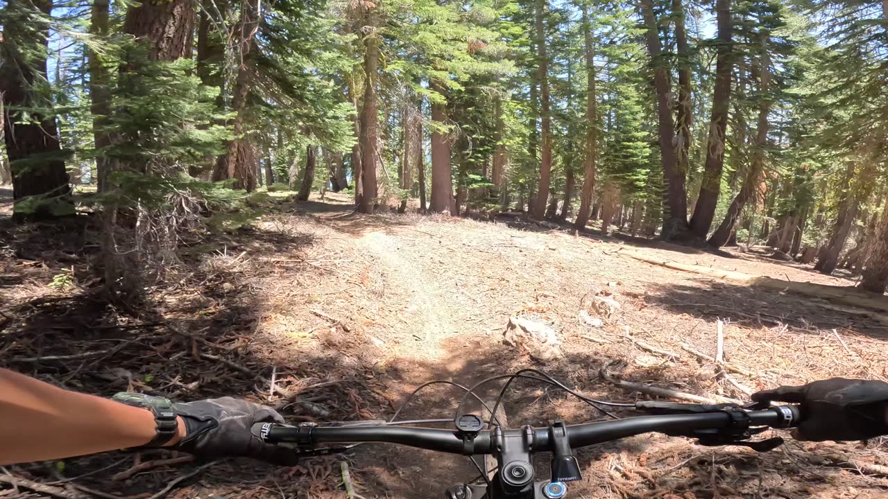 [MTB] Standford Rock Summit Trail, descent from top (Timberland, CA)