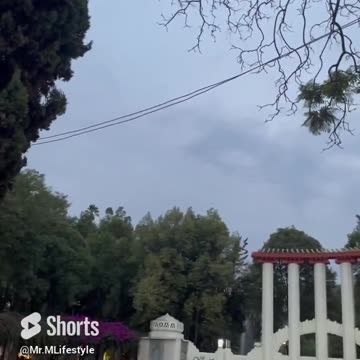 Out In Condesa, Mexico City