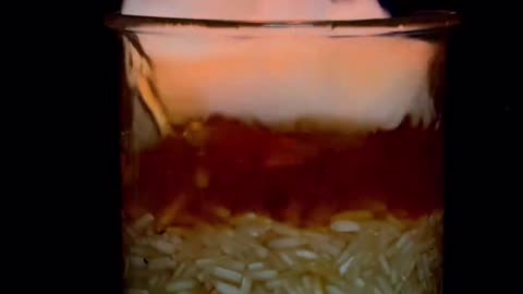 1000°C RHCB vs Rice