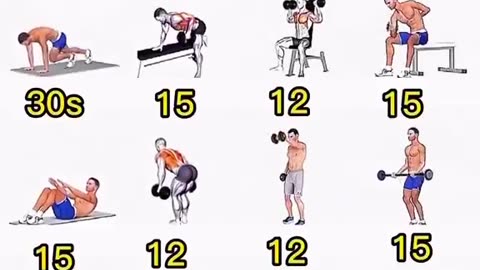 GYM All exercises