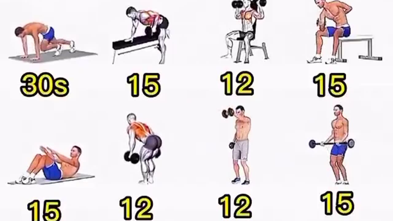 GYM All exercises