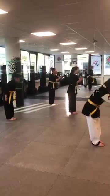 Hapkido