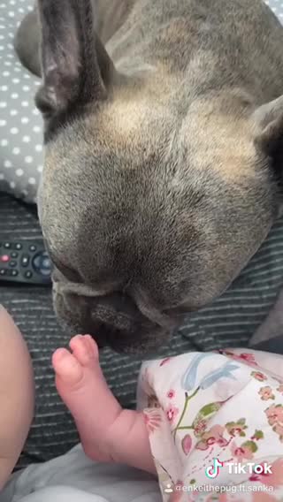 French Bulldog has sweetest relationship with newborn baby