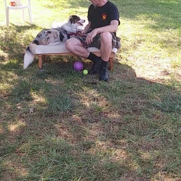 Ruff Cut PodCast Leash Handling part 1 cut e