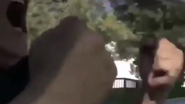 Funny meme #11
