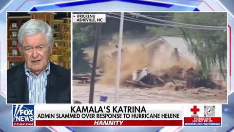 Newt Gingrich on the slow FEMA response to hurricane Helene.