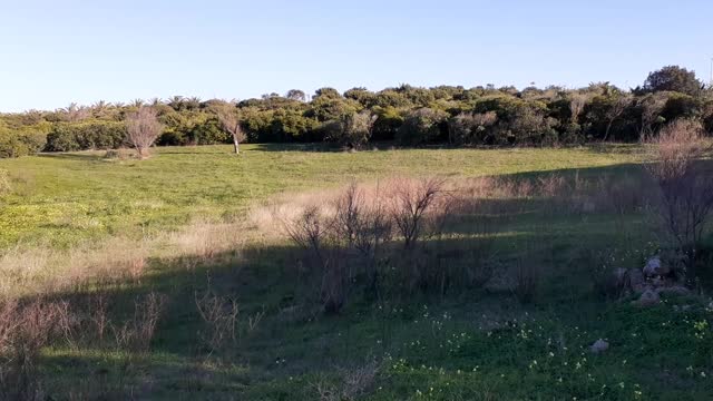 View of nature with sky on the background