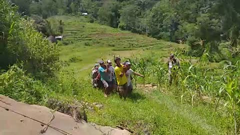 RELEASE THE MENHIR STONE IN TORAJA