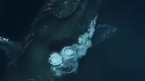 Sea creature very creative 🔥🔥