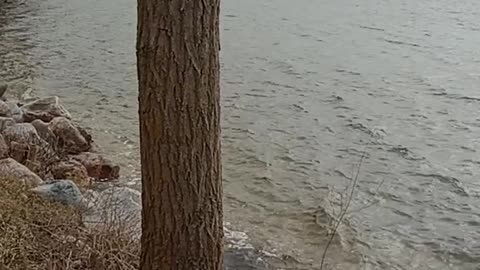 Part 3 Fishing 🎣 in Lake Mills WI