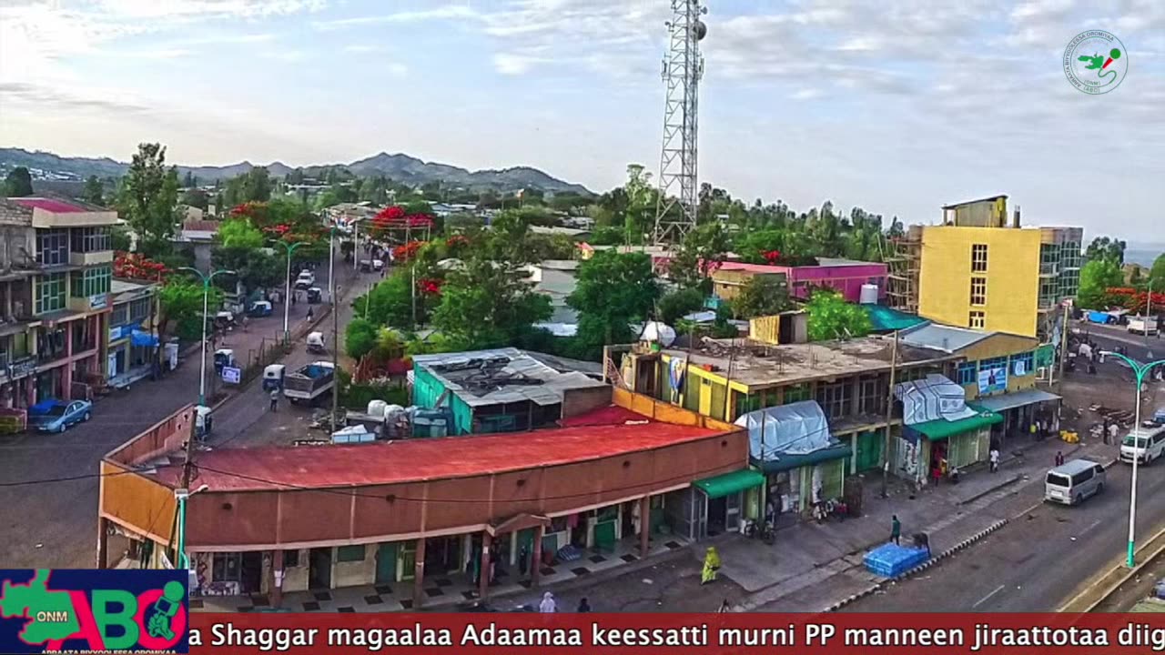 Oduu Waaree ONM-ABO Caamsaa 11-2024 Itti Dhiyaadhaa!