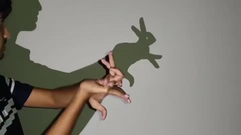 play with animal shadows from rabbits, dogs, cats, peacocks, to owls