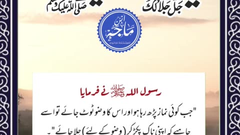 SAYINGS OF HOLY PROPHET MUHAMMADﷺ - حدیث نبویﷺ - Hadis-e-Nabviﷺ