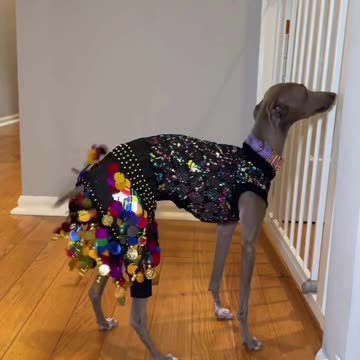 If you will not subscribe, these creatures will get angry !