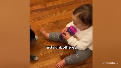 A Cute Puppy and Baby Video.